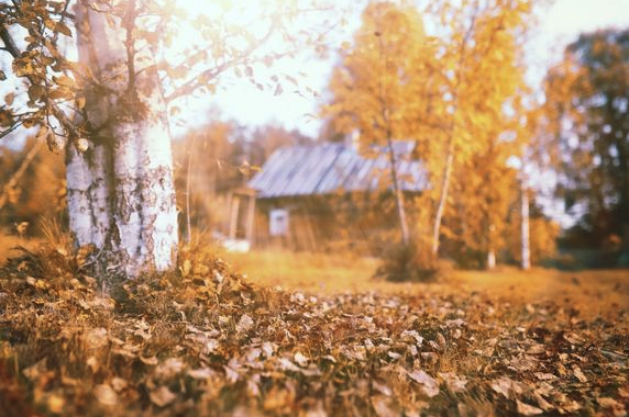 syksyinen mökkipiha