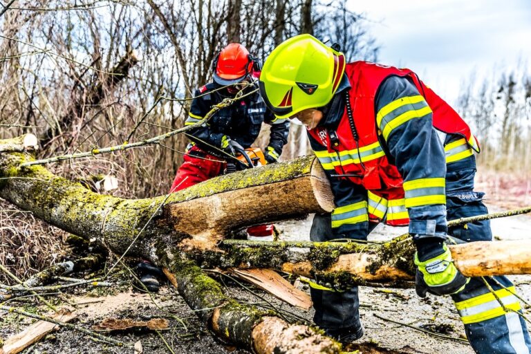 palokunta poistaa pihalta kaatunutta puuta